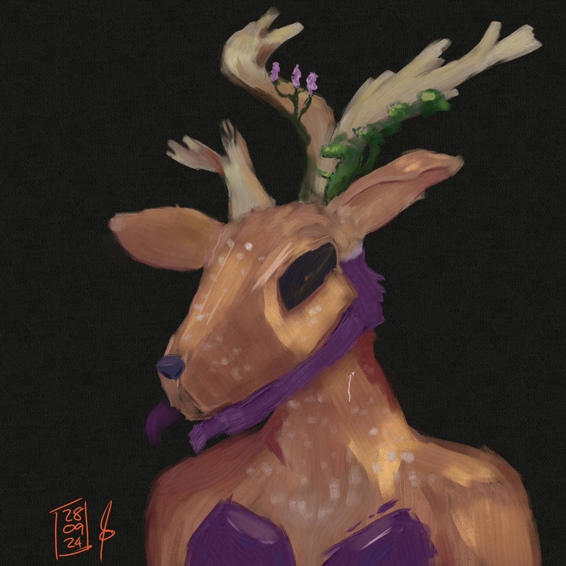 Coraxi image.png